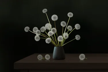 Quiet Dandelion Arrangement
