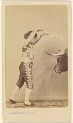 The Banderillo