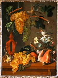 Still-life with Grapes