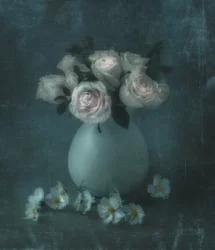 Dreamy Pastel Roses