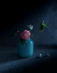Moody Pink Bloom