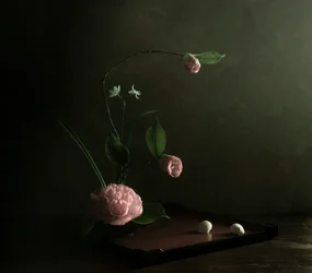 Pink Camellia Ikebana