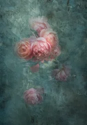 Soft Moody Roses