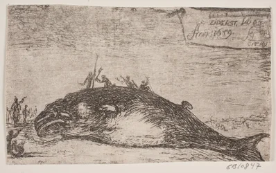 A Whale Stranded at Eiderstedt
