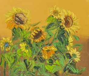 Golden Sunflowers