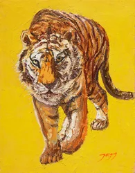 Intense Tiger Gaze