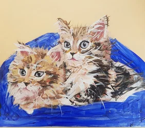 Two Cozy Kittens