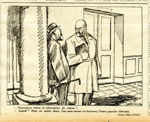 Candide, Satirical in Black & White