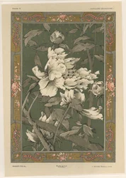 Flowers, plate 31 from 