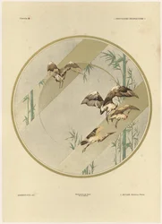 Storks, plate 10 from 