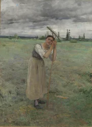 Weary