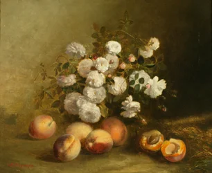 Flowers and Apricots