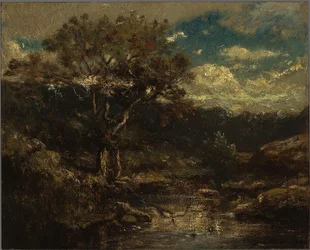 Forest View