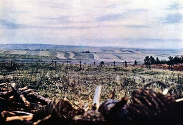 Hill 304 with barbed wire near Verdun, September 1916