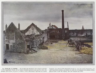 The Farmyard