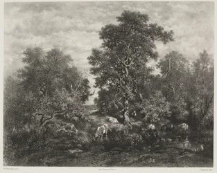 The Pond, after Théodore Rousseau
