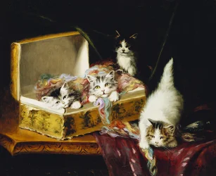 In the Needle Box