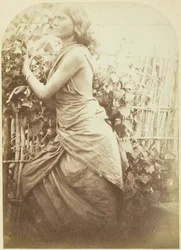 Woman, Ceylon