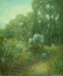 The Old Laurel Bush