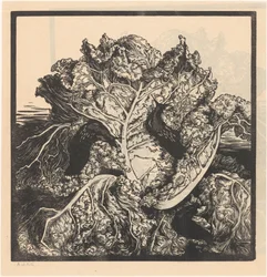 Three Slugs on a Cabbage