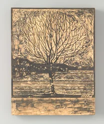 Bare Tree