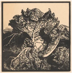 Three Slugs on a Cabbage