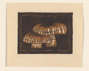 Two Mushrooms