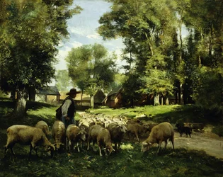 A Shepherd and his Flock