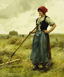 Harvest Time