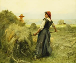 Haymaking