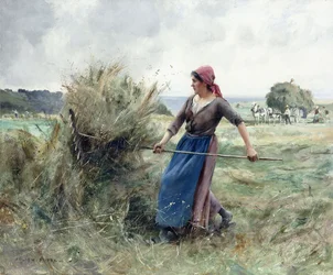 Peasant and Hay