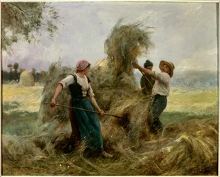 The hay