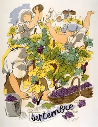Humorous Wine Illustration 1946