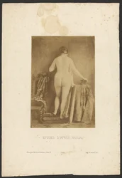 Studies After Nature