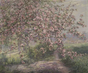 A Blossoming Apple Tree