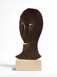 Adolescent Mask