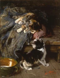 Kittens Playing