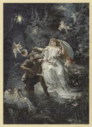 Illustration for A Midsummer Night
