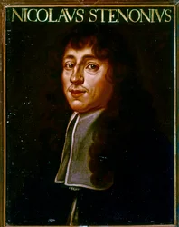 Portrait of Nicolas Steno