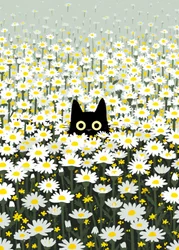 Black Cat Daisy Meadow