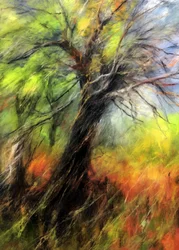 Vibrant Autumn Tree