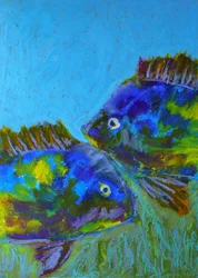 Vibrant Tropical Fish