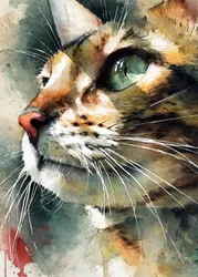 Watercolor Tabby Cat