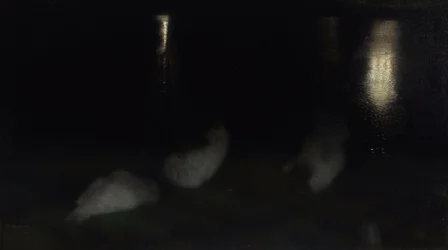 Nocturne. Swans in the Saxon Garden in Warsaw by Night