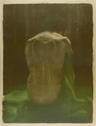 Female Nude Back on Green Cloth