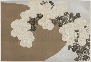 Flowers of a Hundred Worlds (Momoyogusa): Chrysanthemums