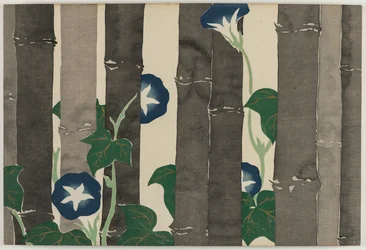 Flowers of a Hundred Worlds (Momoyogusa): Morning Glories