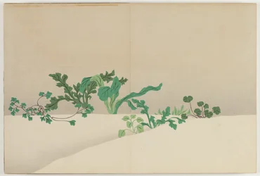 Flowers of a Hundred Worlds: Seven Herbs of Early Spring