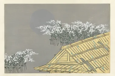 White Blossoming Branches at a House