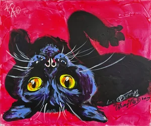 Curious Black Cat